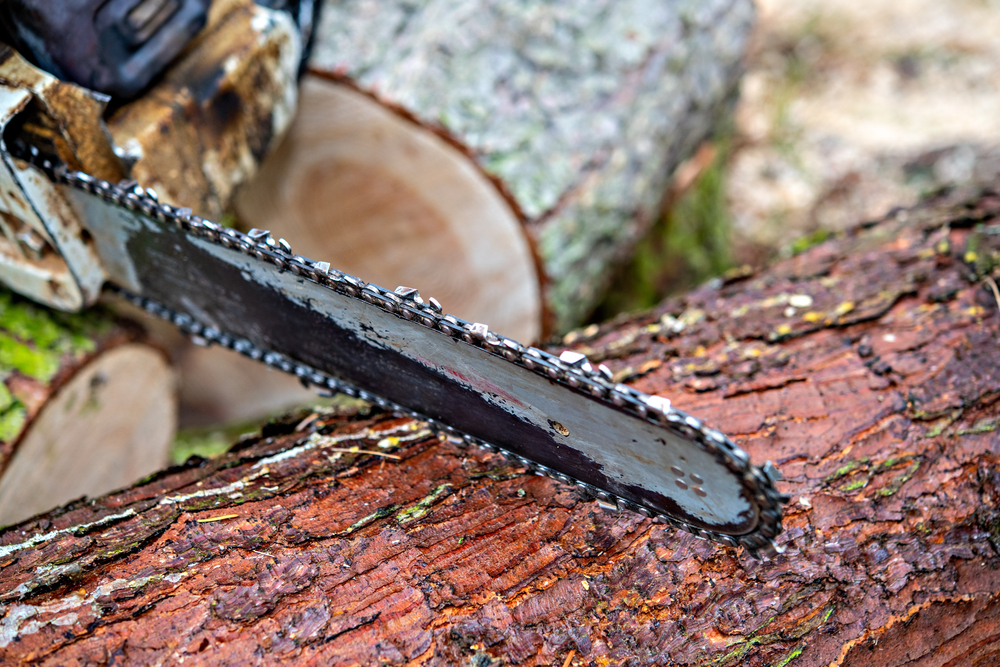 chainsaw with tight blade cutting wood